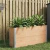 Product Thumbnail Image 2 of 7