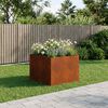Product Thumbnail Image 2 of 10