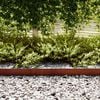 vidaXL Lawn Edging 10 pcs Brown 100 x 0.05 x 15 cm Weathering Steel