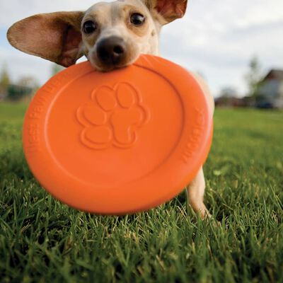 Zogoflex Dog Frisbee Zisc Size L Orange 1937