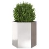 vidaXL Garden Planter Hexagon 46x40x45 cm Stainless Steel