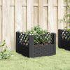 Product Thumbnail Image 3 of 8