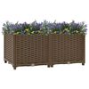 Product Thumbnail Image 2 of 9