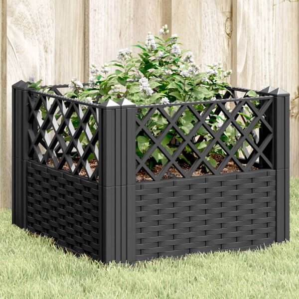 Showing Product Image 2 of 8