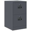 vidaXL File Cabinet Anthracite 44 x 50 x 74.5 cm Cold-Rolled Steel