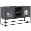 vidaXL TV Cabinet Anthracite 100.5x39x60.5 cm Steel