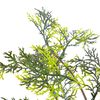 vidaXL Artificial Plant Cypress Tree with Pot Green 90 cm