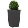 Product Thumbnail Image 4 of 12