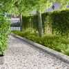 Product Thumbnail Image 2 of 9