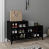 vidaXL Shoe Cabinet Black 102x36x60 cm Engineered Wood