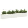 Product Thumbnail Image 2 of 7