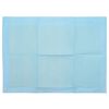 vidaXL Non-woven Fabric Pet Training Pad 200 pcs Blue and White