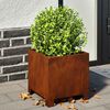 Product Thumbnail Image 2 of 14