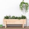 vidaXL Garden Raised Bed 101x30x38 cm Solid Wood Pine