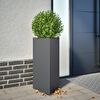 Product Thumbnail Image 2 of 12