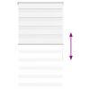 Product Thumbnail Image 5 of 16