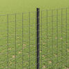 Product Thumbnail Image 4 of 8