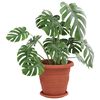 Product Thumbnail Image 3 of 12