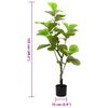 Product Thumbnail Image 5 of 5