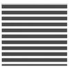vidaXL Zebra Blind Black 155x100 cm Fabric Width 150.9 cm Polyester