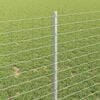Product Thumbnail Image 4 of 8