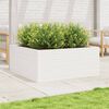vidaXL Garden Planter White 110x110x46 cm Solid Wood Pine