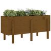 vidaXL Garden Raised Bed Honey Brown 121x50x57 cm Solid Wood Pine