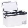 vidaXL Cool Box with Handle and Adapter Black and White 25 L PP & PE