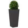 Product Thumbnail Image 3 of 10