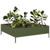 Product Thumbnail Image 3 of 10