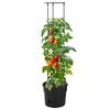 Product Thumbnail Image 2 of 6