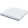 vidaXL Mattress White and Blue 180 x 200 cm Gel-Infused Foam