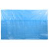 Rectangular Pool Cover 450 x 220 cm PE Blue