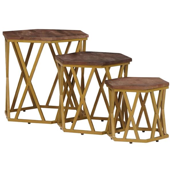 vidaXL Coffee Tables Brown 55 x 55 x 50 cm Solid Mango Wood