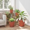 Product Thumbnail Image 4 of 10