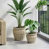 Product Thumbnail Image 3 of 10