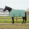 vidaXL Horse Blanket Special Green Polyester