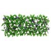 Product Thumbnail Image 2 of 6