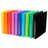 Exacompta Ring Binders Iderama A4 with 2-Rings 30mm