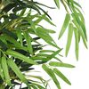 Product Thumbnail Image 2 of 4