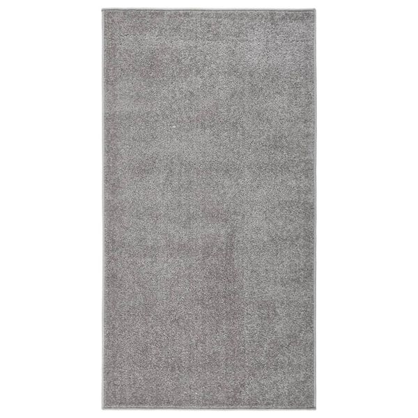 vidaXL Rug Short Pile 80x150 cm Grey
