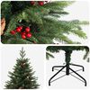 Product Thumbnail Image 4 of 7