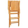 vidaXL Folding Garden Chair | Set of 6 | Teak Wood | Solid teak wood | Medium