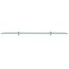 vidaXL Floating Shelves 2 pcs Glass 100x20 cm 8 mm