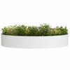 vidaXL Planter Ring White 120 x 120 x 20 cm Cold-rolled Steel