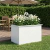 Product Thumbnail Image 2 of 13