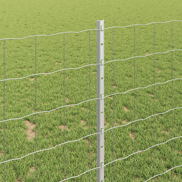 Showing Product Image 4 of 7