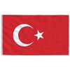 vidaXL Turkey Flag and Pole 6.08 m Aluminium