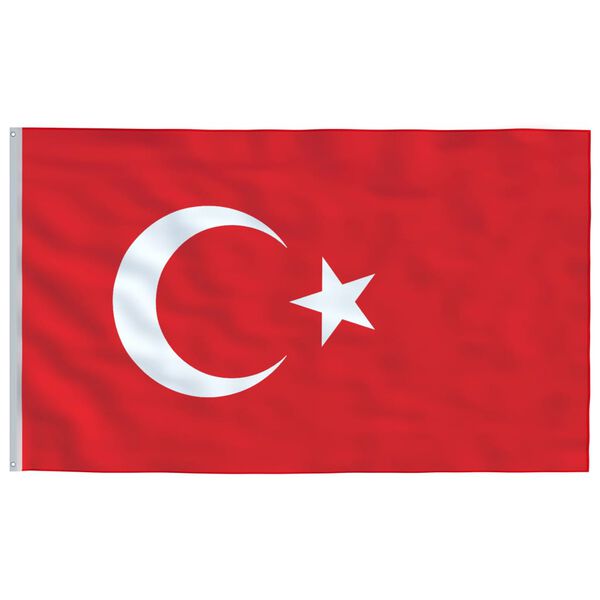 vidaXL Turkey Flag and Pole 6.08 m Aluminium