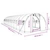 vidaXL Greenhouse with Steel Frame Green 36 m² 12x3x2 m